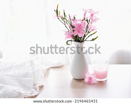 Pink flowers in vase on table Ruellia tuberosa flowering plant ,minnieroot ,fever root ,snapdragon root ,sheep potato ,Ruellia humilis, Mexican petunia ,Britton's wild petunia ,Aphelandra simplex 