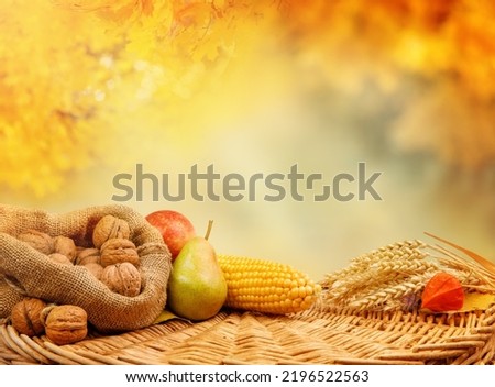Pear, walnut, spikelets, and corn on harvest table with autumn background - Thanksgiving 