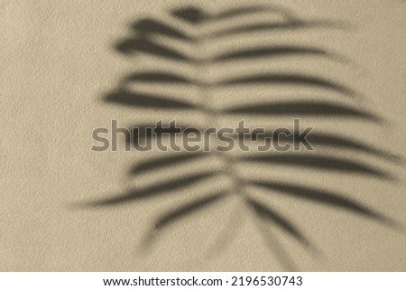 Shadows nature beige gray background. Neutral contrasting flower leaf design. Fashionable earthy decorative shades. Calm natural pastel design. The concept of the beauty of the earth. Copy space