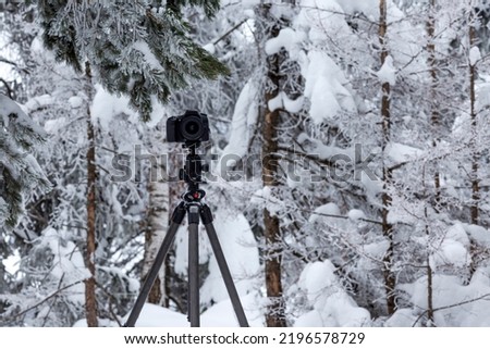 Camera on a tripod in the winter forest