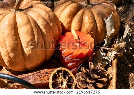 Cozy warm autumn composition with burning candle and pumpkins on knitted woolen plaid. Autumn home decor. Fall mood. Thanksgiving. Halloween.