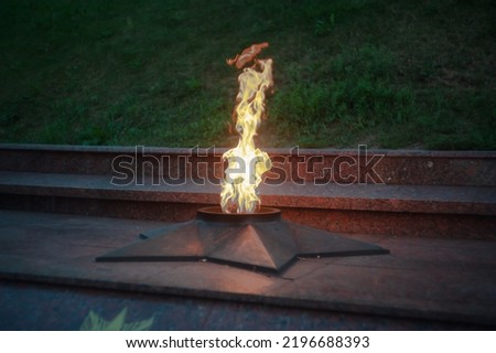 Eternal fire on a background of carnation flowers. The flames are reflected in the granite. Tomb of the Unknown Soldier in Blagoveshchensk