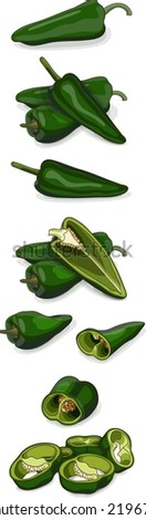 Set of poblano peppers. Whole, half, sliced, and wedges of peppers. Chili peppers. Ancho. Chile ancho. Capsicum annuum. Vegetables. Cartoon style. Vector illustration isolated on white background.
