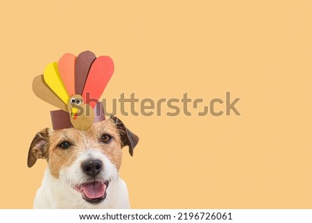 Dog wearing self-made paper party hat with Thanksgiving turkey. Background for holiday card or banner.