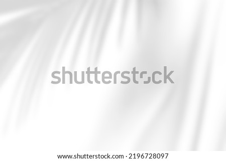 Abstract gray shadow background of natural palm leaves falling on white concrete wall texture with cracked line for background and wallpaper, black and white monochrome tone. Royalty-Free Stock Photo #2196728097