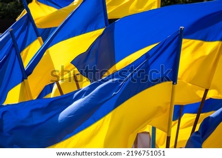 Flags of Ukraine on Independence Day. Symbol of Ukraine.