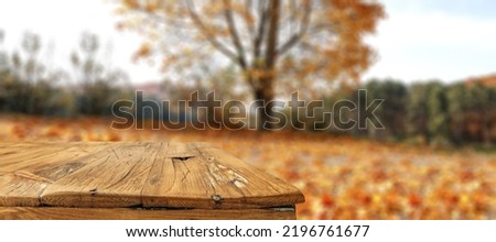 Wooden desk of free space and blurred background of autumn landscape. 