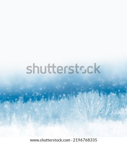 Blur. Frozen winter forest with snow covered trees. outdoor. New Year’s Eve