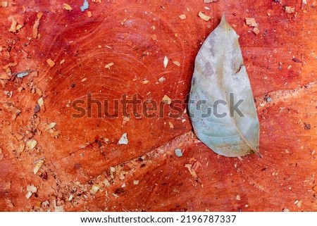 Dried leaves fall on the wooden board. Mahogany dried leaves on wood brown background (top view), photocopy holder for inscriptions, top view, tablet for text, aesthetic dried leaves wallpaper