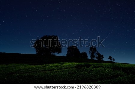 Starry night over green field. Night landscape with silhiuette of trees
