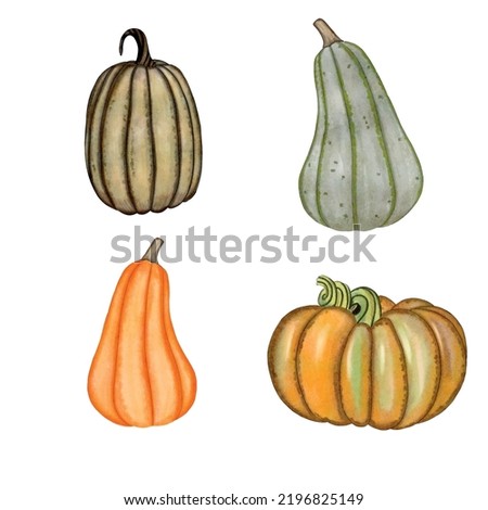 watercolor pumpkins, autumn harvest illustration set, Thanksgiving design elements, fall, holiday clip art.