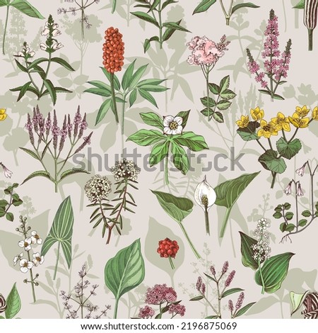 Floral seamless pattern, different swamp plants 