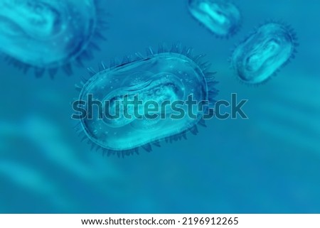 Monkeypox virus model. Concept of searching for antibodies to Monkeypox virus. Anti-Monkeypox Virus VACV-5C7 antibodies. Mutated monkey fever. Model Monkey pox bacteria on blue background. Royalty-Free Stock Photo #2196912265