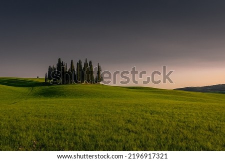 Group of cypresses on the green hill of Tuscany countryisde at sunset, Italy Royalty-Free Stock Photo #2196917321