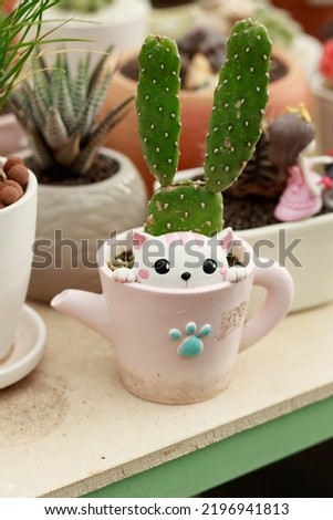 A Nopalea cochenillifera or cochineal cactus in a cute teacup flowerpot design