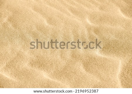 Sand on the beach as a background. Close-up sand texture. Top view. Summer sunlight.