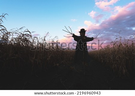 Scary scarecrow in a hat and coat on a evening autumn cornfield during sunset. Spooky Halloween holiday concept. Halloweens background