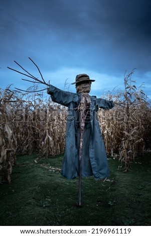 Scary scarecrow in a hat and coat on a evening autumn cornfield. Spooky Halloween holiday concept. Halloweens background Royalty-Free Stock Photo #2196961119