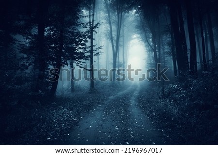 forest road in fog, dark fantasy landscape Royalty-Free Stock Photo #2196967017