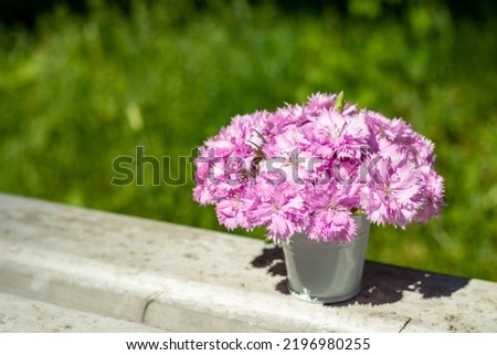 A bouquet of delicate pink carnations in a white bucket on a blurred background of nature. Place for an inscription. Selective focus