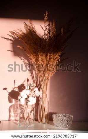 Shot of nature scene with composition of glass and dry branches of cotton. Neutral beige background for cosmetic, beauty product branding, identity and packaging. Natural pastel colors