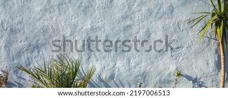 White Rustic Shabby Background. Whitewash Wall and Plants. Uneven Decorative Plaster. Panoramic Photo