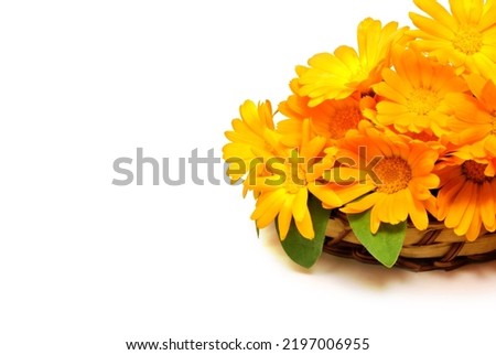 A bouquet of Сalendula flowers in a wooden basket isolated on white