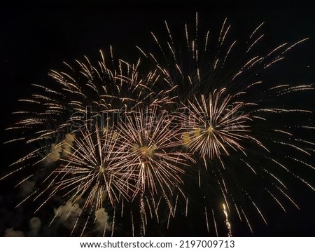 Colorful firework over the night sky. Celebration of a festive event, abstract holiday background