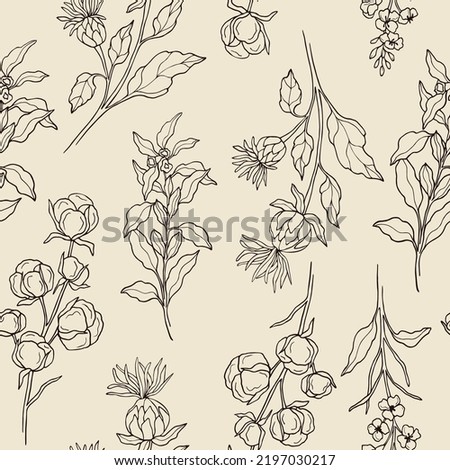 Hand drawn sesame, safflower, canola, cotton seamless pattern Royalty-Free Stock Photo #2197030217