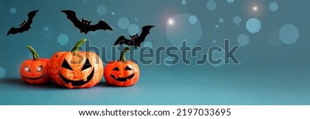 Halloween pumpkins and black bats on blue background. Halloween concept.
