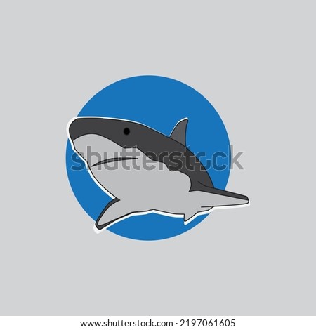 Cartoon Shark logo and mascot isolated on a blue background - Vector