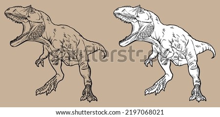Tyrannosaurus vector, linear, black and white drawing. For coloring books. For your illustrations. 
