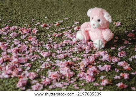 newborn photoshoot backdrop background spring summer easter cherry blossoms pink teddy bear