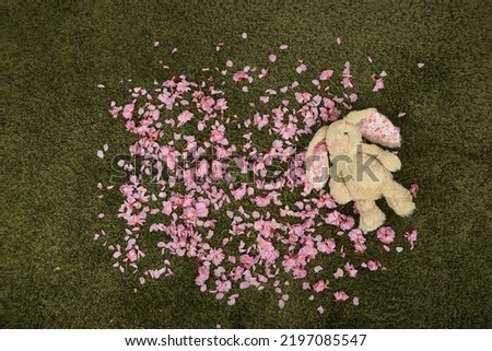 newborn photoshoot backdrop background spring summer easter cherry blossoms easter bunny