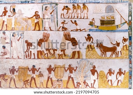 Agricultural scenes from the tomb of Menna at valley of the Nobles . Luxor .Egypt . Royalty-Free Stock Photo #2197094705