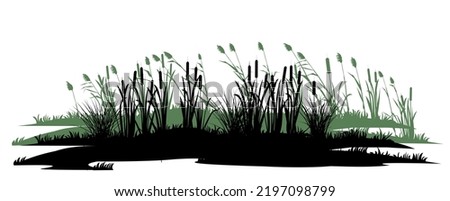 Overgrown coast. Reeds and reeds. Swamp landscape. View of the river bank. Silhouette picture. Isolated on white background. Vector Royalty-Free Stock Photo #2197098799