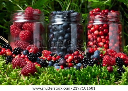 Berries fresh assorted mix overhead arrangement close up in studio on dark background