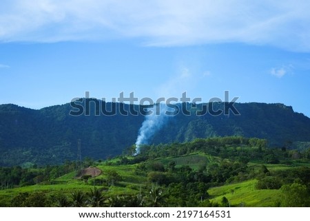 
The smoke rose in the middle of the green forest.