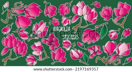 Set of colorful magnolia stickers on a green background. Hand drawn vector isolated illustration for cards, invitations, print and stickers.