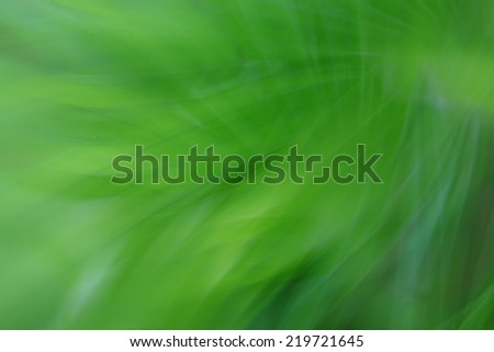 Green leaf  and motion blur.