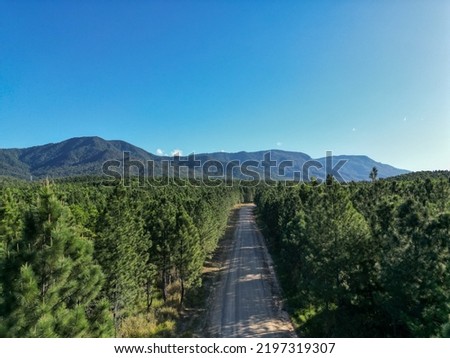 Aerial photo of tropical road in the forrest with mountains and clear blue sky in Queensland