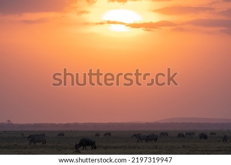 Majestic sunset and colorful sky in the african savannah in the Amboseli national park, in Kenya, Africa