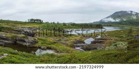 Panoramic view of blue glacial Arasjahka river rapids in Lapland landscape with green mountains and birch trees at Padjelantaleden hiking trail, north Sweden wild nature. Summer cloudy day Royalty-Free Stock Photo #2197324999