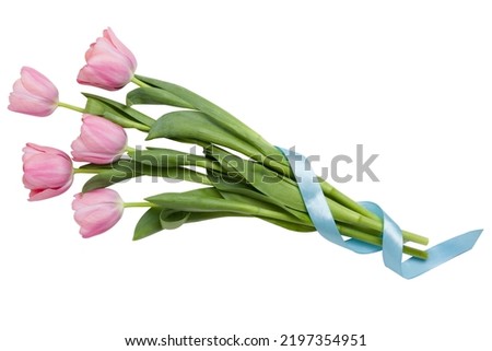Pink tulip flower isolated on white background. Spring tulip flowers. Easter or Valentine's day greeting card. Woman's day. Royalty-Free Stock Photo #2197354951