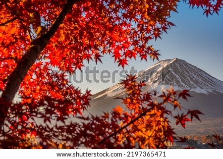Aerial Skyline Landscape of Fuji Mountain with Beautiful Autumn Leaves. Iconic and Symbolic Mountain of Japan. Scenic Sunset Landscape of Fujisan at Evening Time, Kawaguchiko, Yamanashi, Japan. Royalty-Free Stock Photo #2197365471