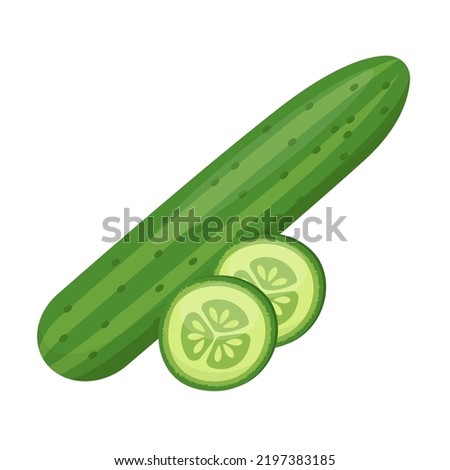 cucumber with slices flat vector illustration clipart isolated on white background Royalty-Free Stock Photo #2197383185