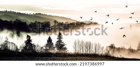 autumnal picture - fogy forest and flying birds