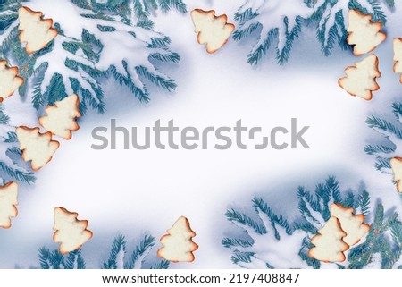 The branches of the snow covered Christmas tree on a white background. winter