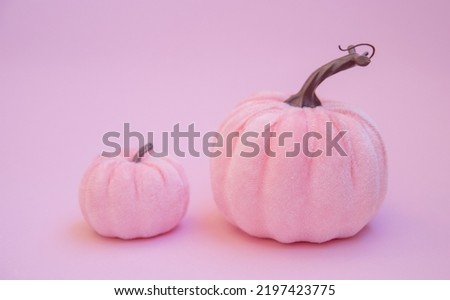 Two pink pumpkins on a pink background, top view, isolated, pink Halloween, velvet pumpkin surface, wallpaper for the holiday, autumn.
