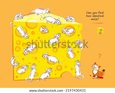 Logic puzzle game for children and adults. Can you find two identical mice? Page for kids brain teaser book. Task for attentiveness.  IQ test. Play online. Vector cartoon illustration.